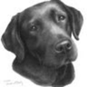 Meet your Posher, Hope